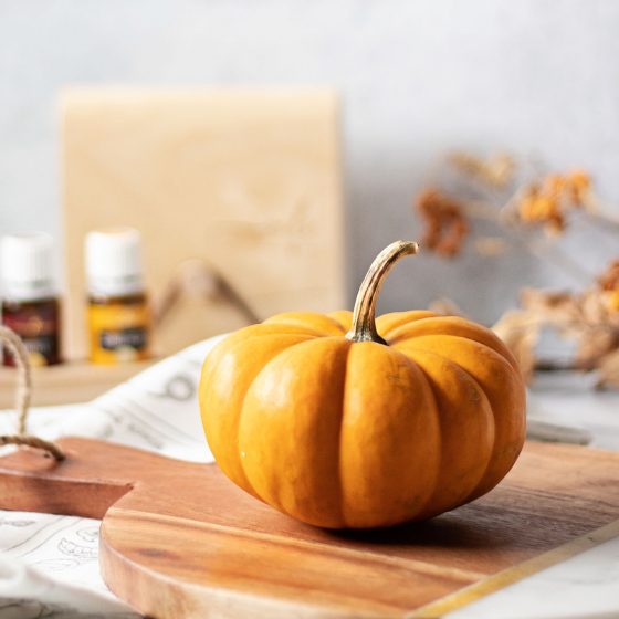 I’ve gathered the best fall essentials into a lookbook to inspire your oily lifestyle! Bring autumn to full swing with a trending collection of essential oil fall looks.