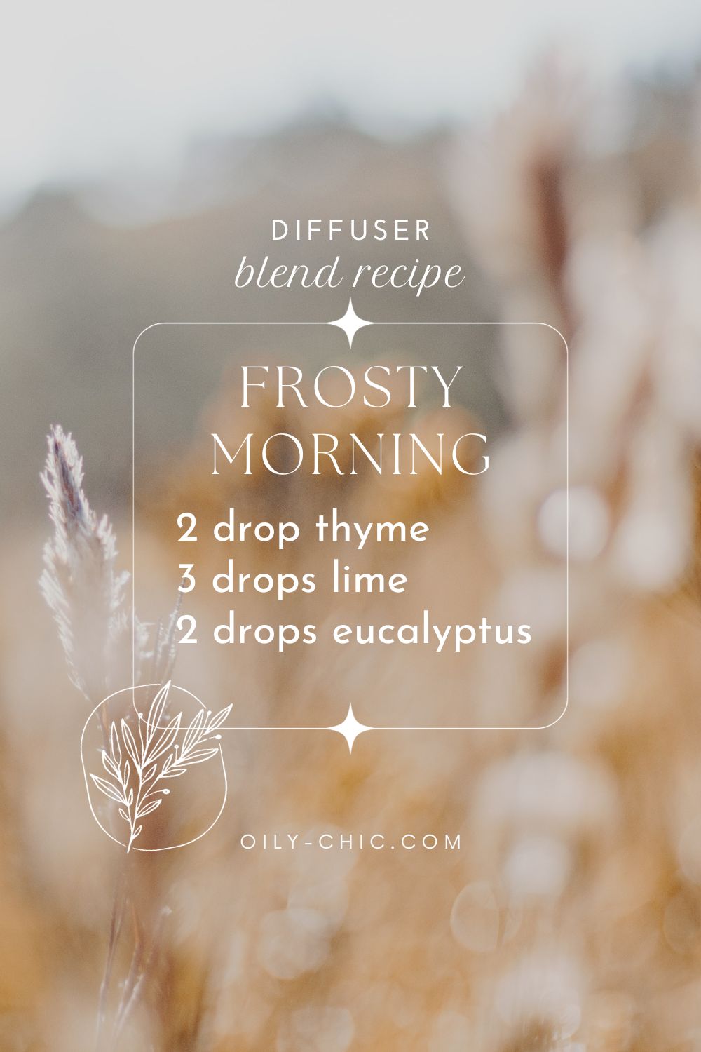 Essential Oil Diffuser Blends for the Cozy Season
