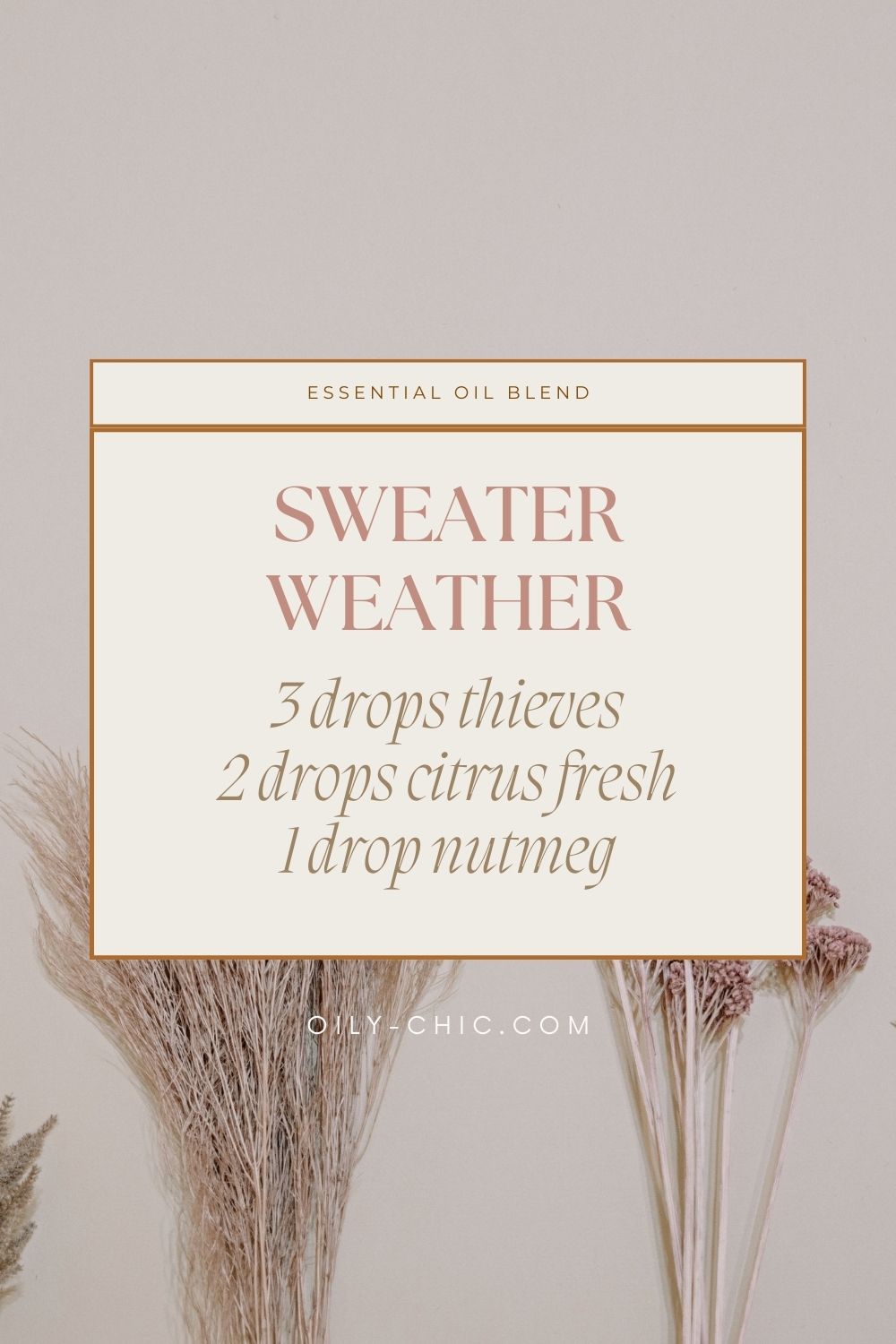 Essential Oil Diffuser Blends for the Cozy Season