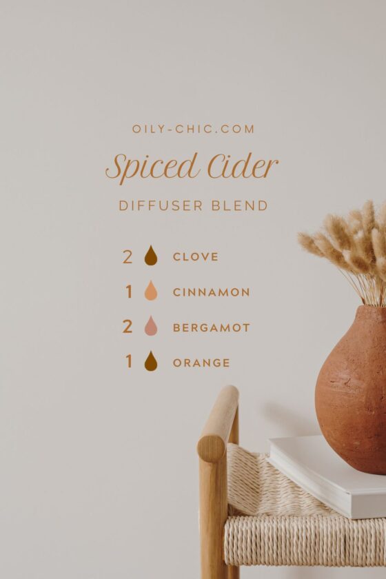 Essential Oil Diffuser Blends for the Cozy Season