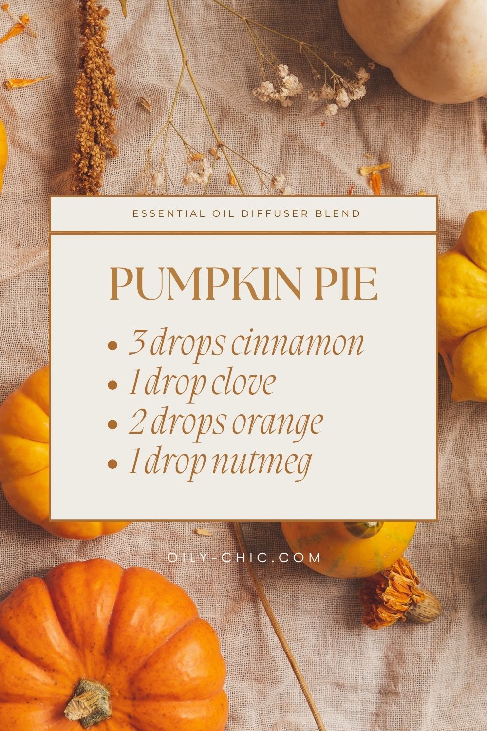 Essential Oil Diffuser Blends for the Cozy Season