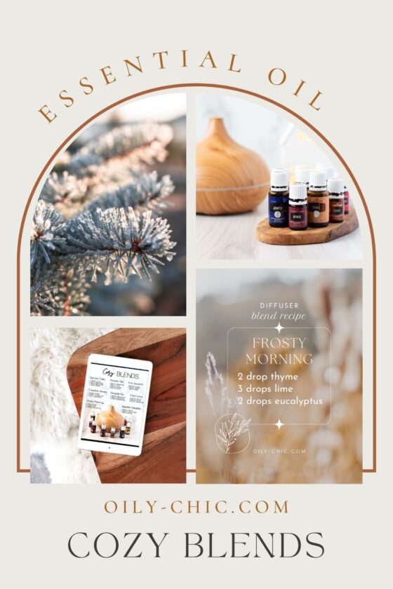 Essential Oil Diffuser Blends for the Cozy Season