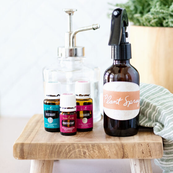 The essential oil plant spray recipe will promote growth and help deter insects from eating your garden or potted plants!