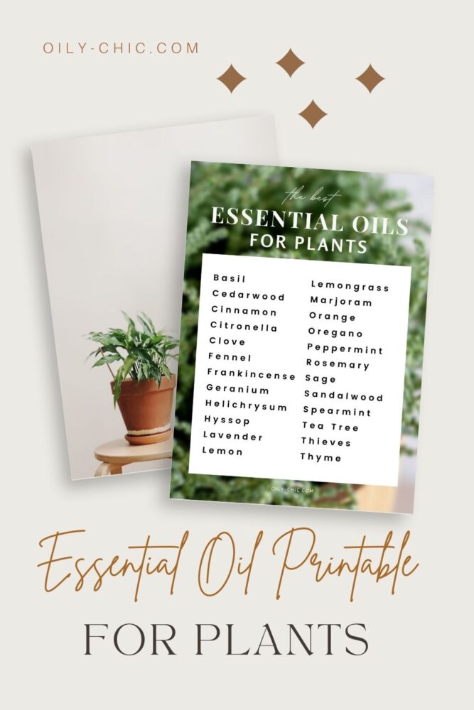 So the next time you find yourself asking, “What essential oils are good for plants?” use this printable list of essential oils for plants.