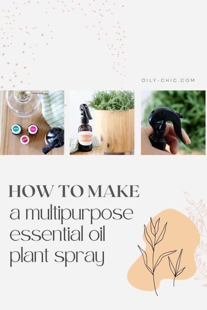 Here’s how to make an  essential oil plant spray recipe for indoor or outdoor plants to promote growth, attract butterflies, and help deter insects!