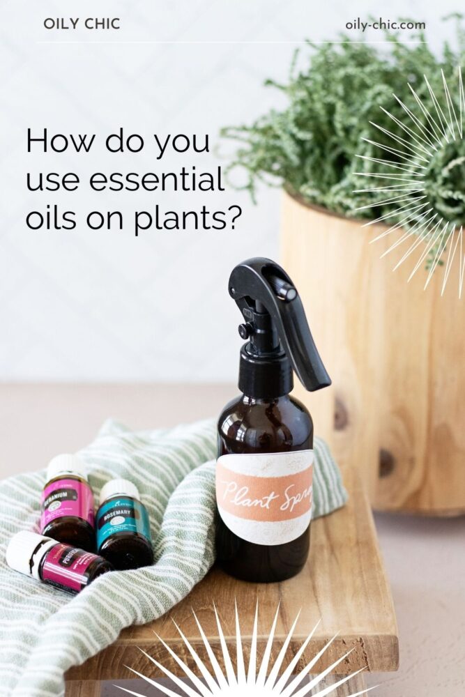 How do you use essential oils on plants? Follow these tips to apply essential oils to plants to help them thrive!