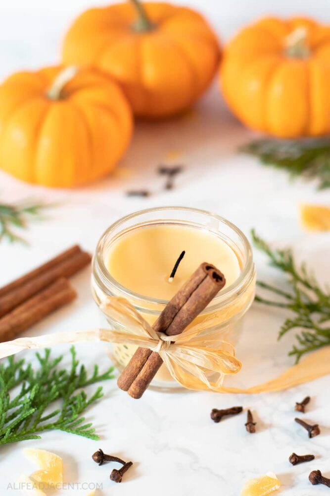 Bring the warmth and coziness of fall into your home with these DIY fall candles scented with essential oils.