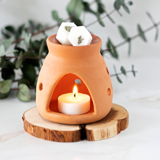 DIY eucalyptus candle melts encapsulating a clean house scent and spa aroma in one. Here’s how to make them!