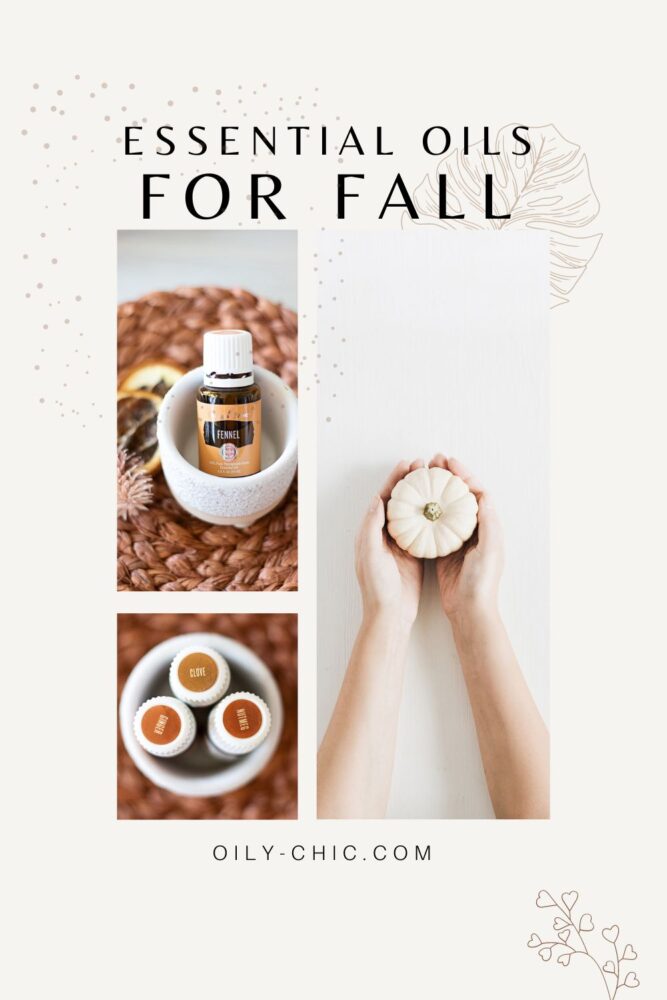 What Essential Oils Smell Like Fall? If you're a fan of autumn as much as I am, you'll love this list of essential oils that smell like fall. Each is just right to warm up your home during the cool days of the season. 