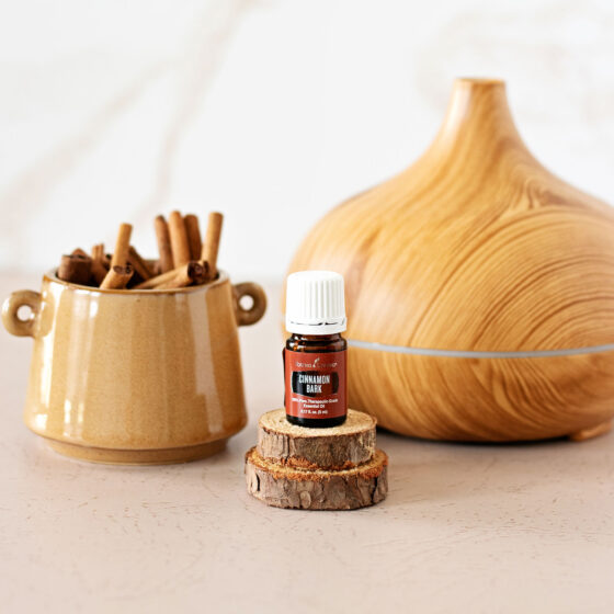 I’ve whipped up a dozen of the best-smelling cinnamon essential oil diffuser blends into two essential oil blend printables. From delicious aromas like cinnamon strudel to seasonal traditions like pumpkin picking, there’s an abundance of new diffuser recipes to enjoy!