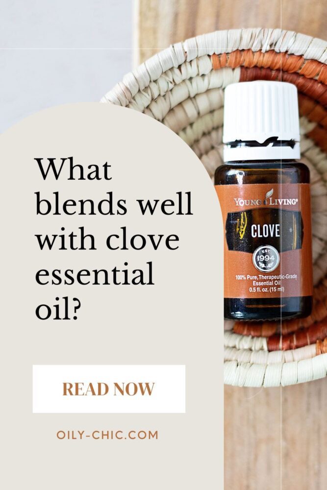 Clove has a spicy, warm trademark scent that reminds many of us of the holidays. So, what blends with clove? 