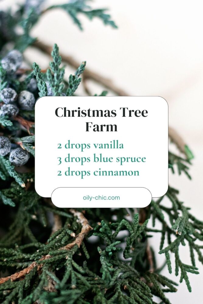 We’re kicking off this list with a twist on the classic Christmas tree essential oil blend. A splash of warm vanilla and cinnamon makes blue spruce smile in this recipe.