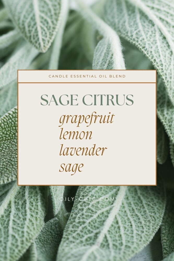 If you love Yankee Candle’s Citrus and Sage, you’ll adore this candle essential oil blend! It captures the popular candle scent of clean, herbal sage, bright and zesty citrus, and lavender into an earthy bouquet.