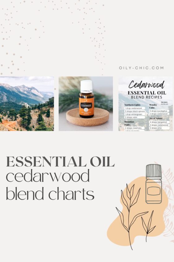 Cedarwood Essential Oil Blends For Diffuser Recipes And More