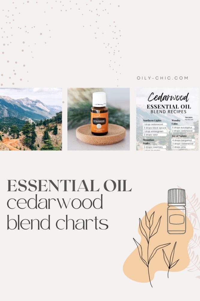 Start with these essential oil blends for diffuser recipes and more. I know you’ll enjoy the woodsy scent packed with cedarwood essential oil benefits to calm stress, find your center, and enhance your sleep. 