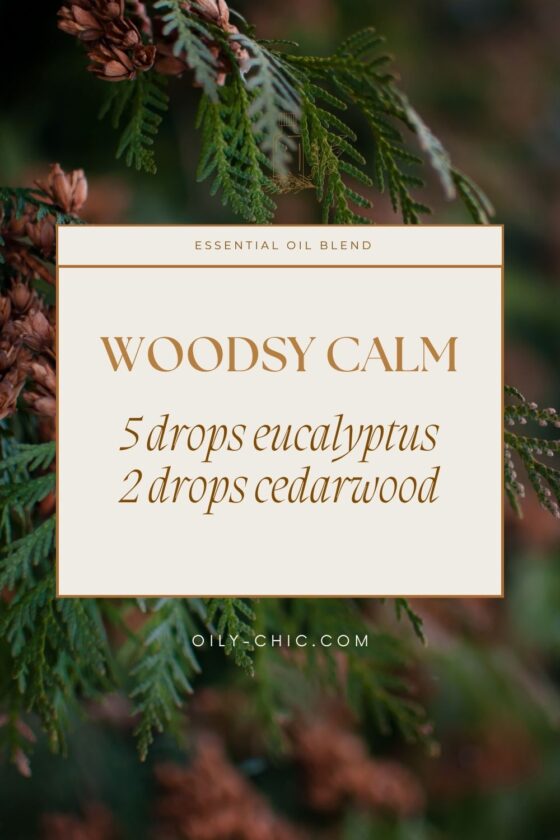 Cedarwood Essential Oil Blends For Diffuser Recipes And More
