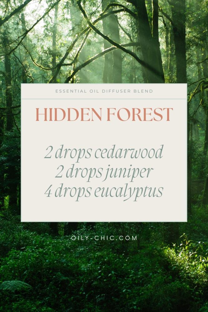 Bring the refreshing scent of the forest into your home with this hidden forest blend.
