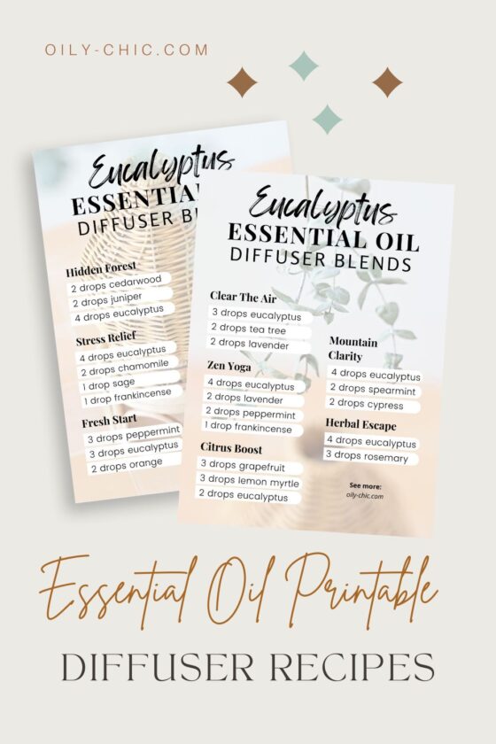 DIY Terracotta Clay Diffuser Stones - Oily Chic