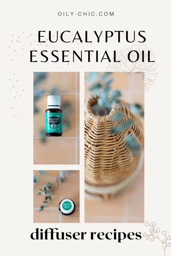 Image of an essential oil diffuser: "How to use a diffuser with a eucalyptus essential oil blend to refresh your space."
