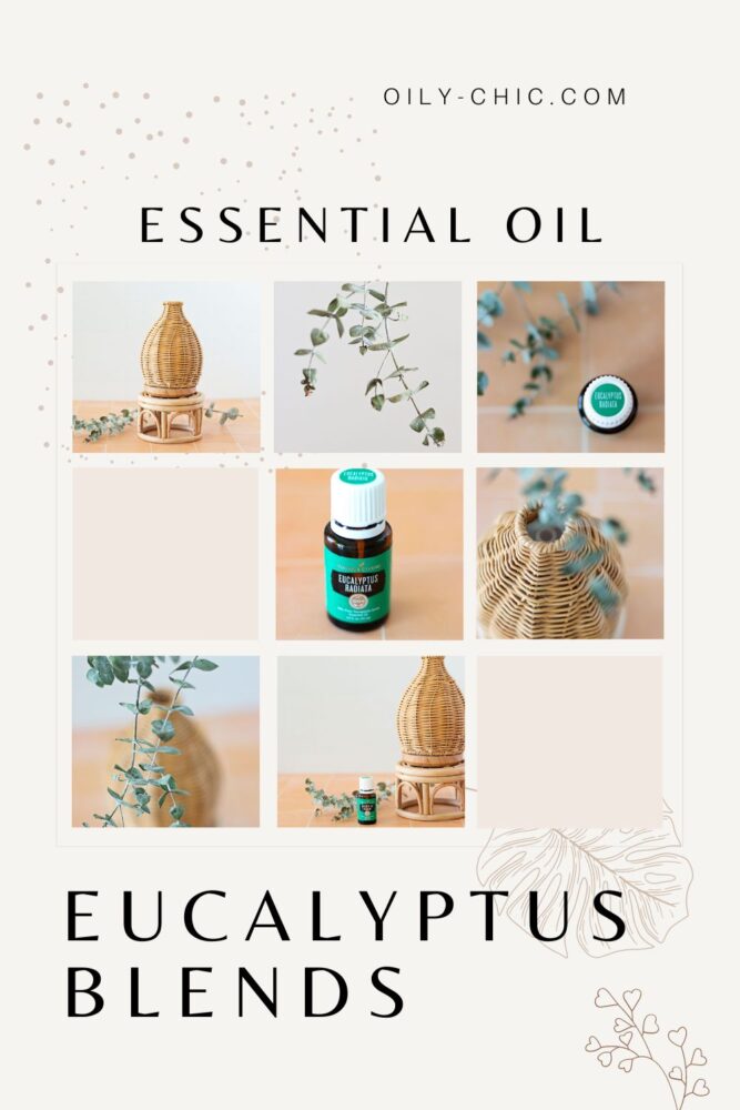 Image of eucalyptus essential oil lifestyle: "De-stress with a relaxing eucalyptus diffuser blends."