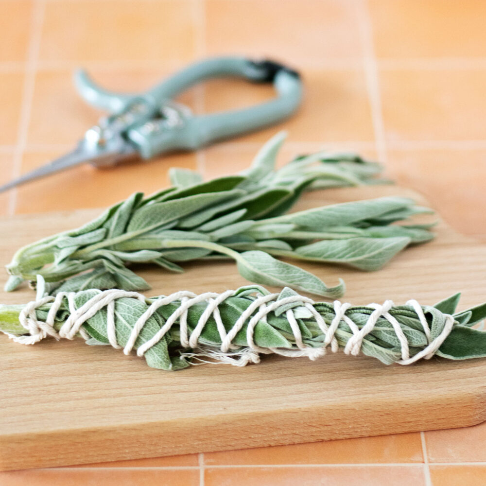 Learn how to make sage smudge sticks for a smudging ritual. And discover the sacred ritual of smudging sage to cleanse and purify your surrounding.