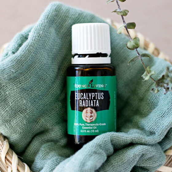 Ready to invigorate your senses? Learn how to use eucalyptus oil like a pro with these ten eucalyptus essential oil uses and benefits. Yes - your wellness journey just got a natural boost!