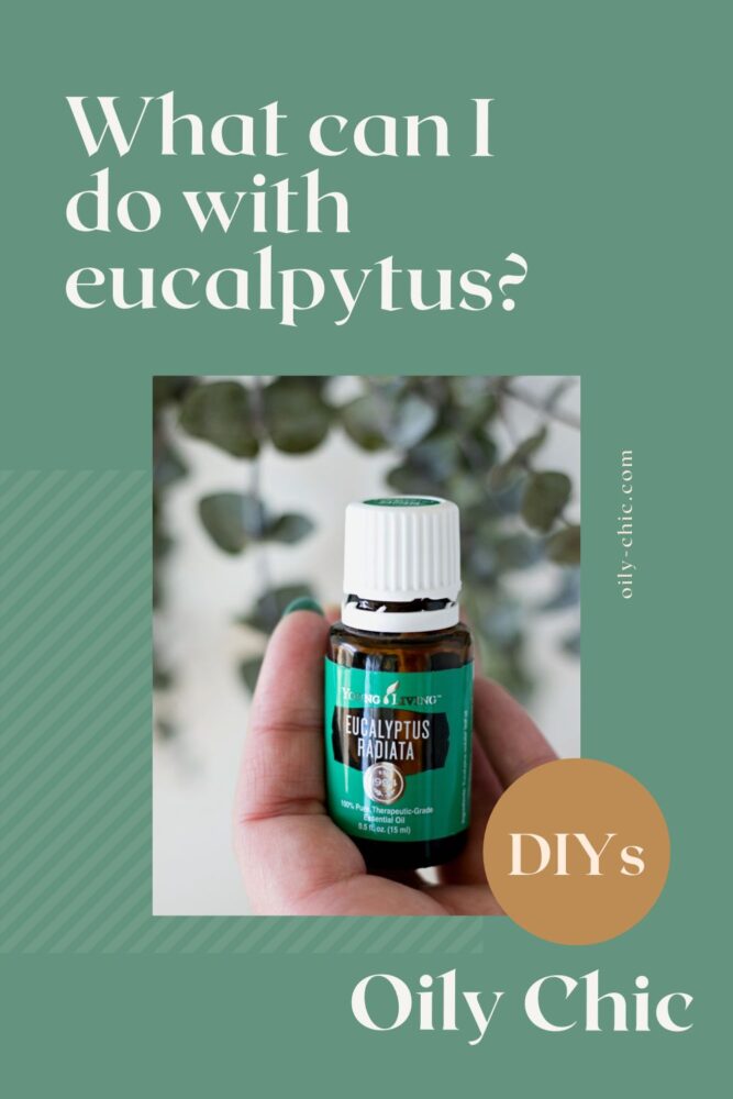 Natural freshness in every drop! Explore these eucalyptus essential oil uses to transform your space into a refreshing zone. Get ready to be amazed! 