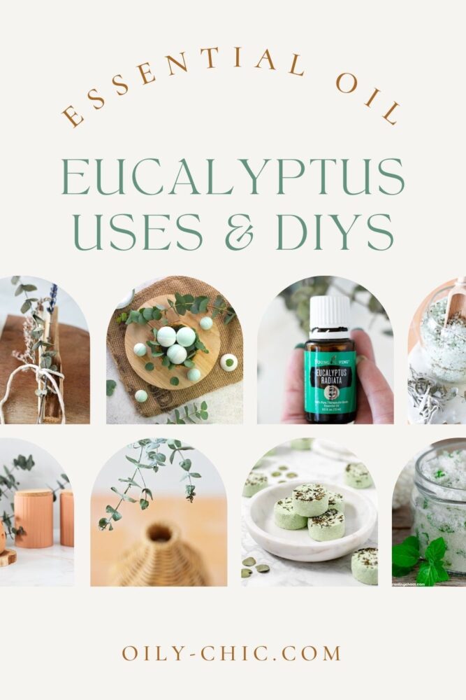 Check out our creative DIYs of eucalyptus essential oil uses. Say hello to relaxation and self-care! 