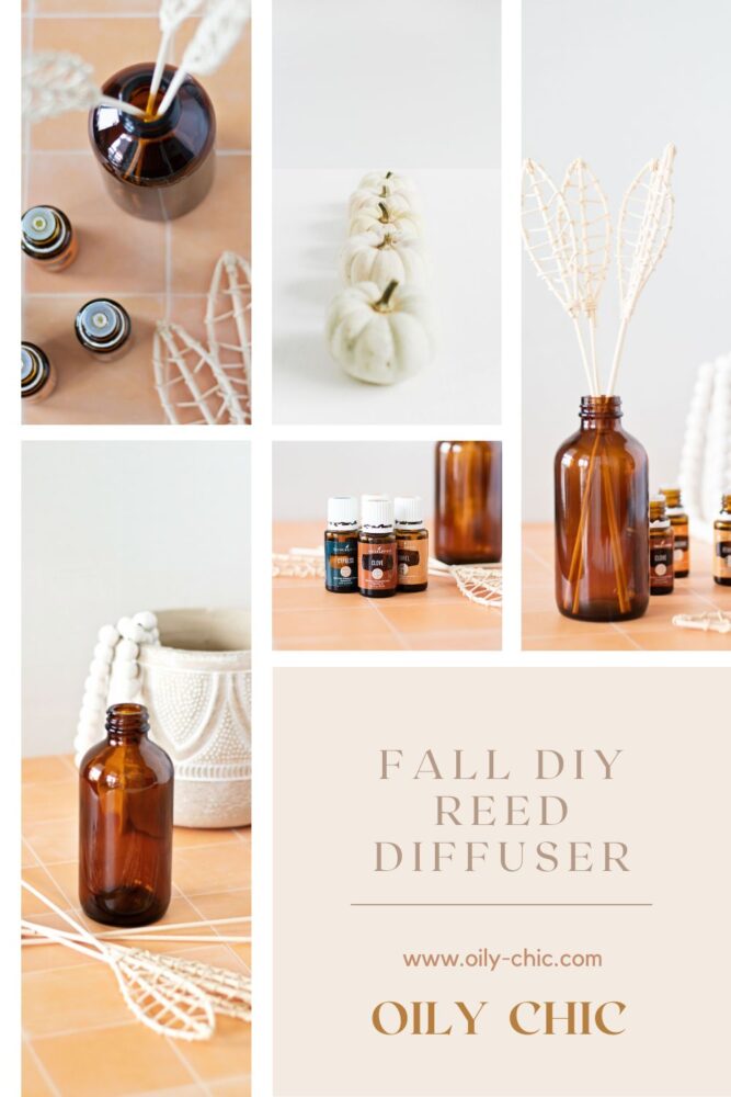Looking for a simple way to make your home fall-themed? Our Fall DIY Diffuser for Essential Oils is the perfect solution! Bring in the cozy scents and beauty of the season in minutes.