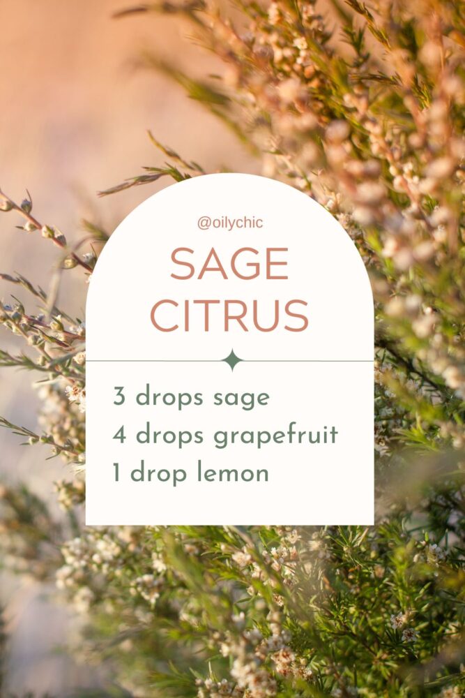 Say goodbye to unwanted odors wherever they linger. Sage pairs with citrus for a refreshing blend that clears the air. 