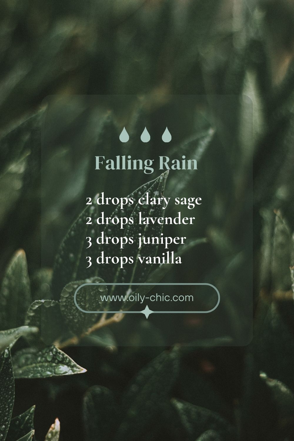 Sweet, Woodsy Juniper Essential Oil Blends