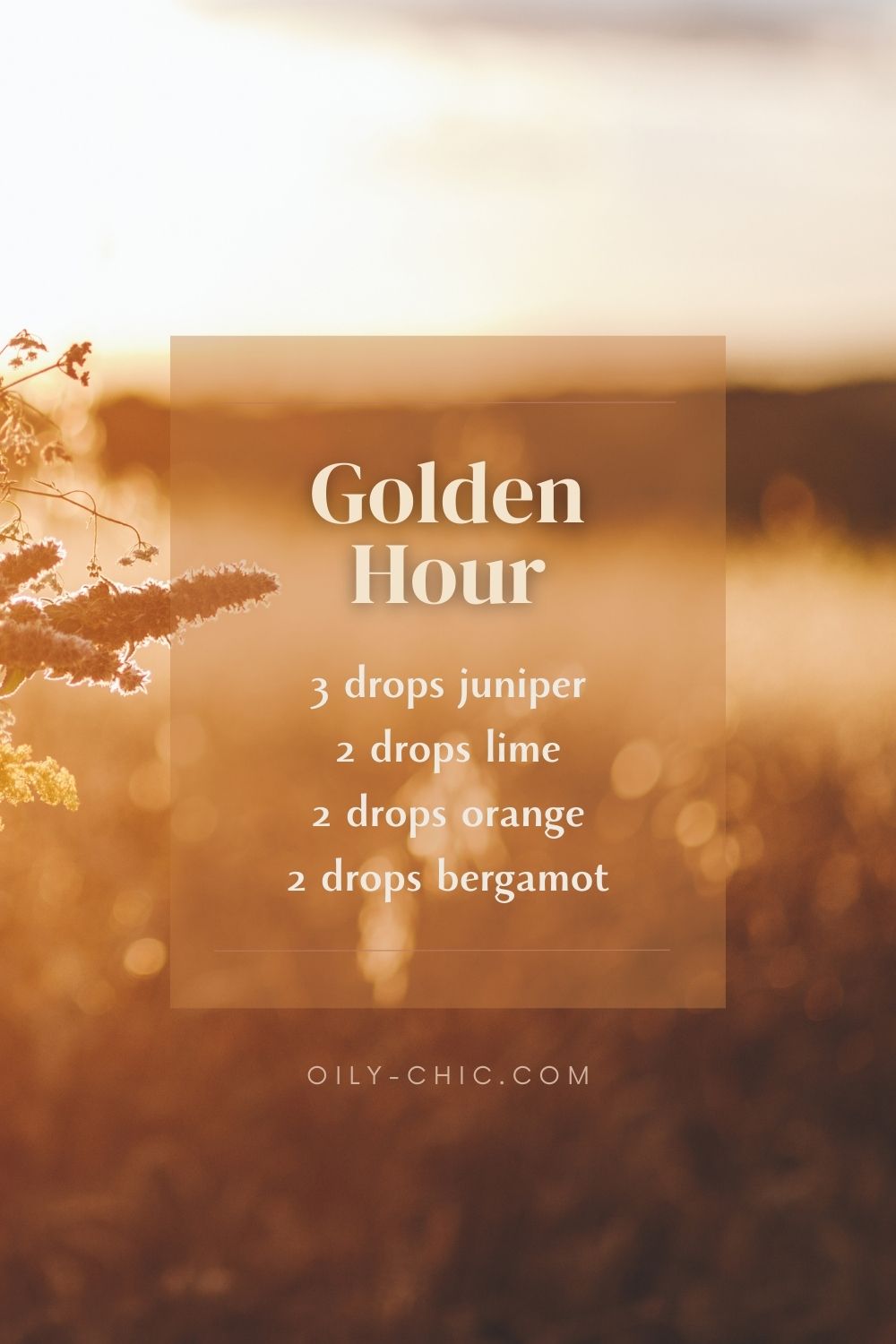 Sweet, Woodsy Juniper Essential Oil Blends