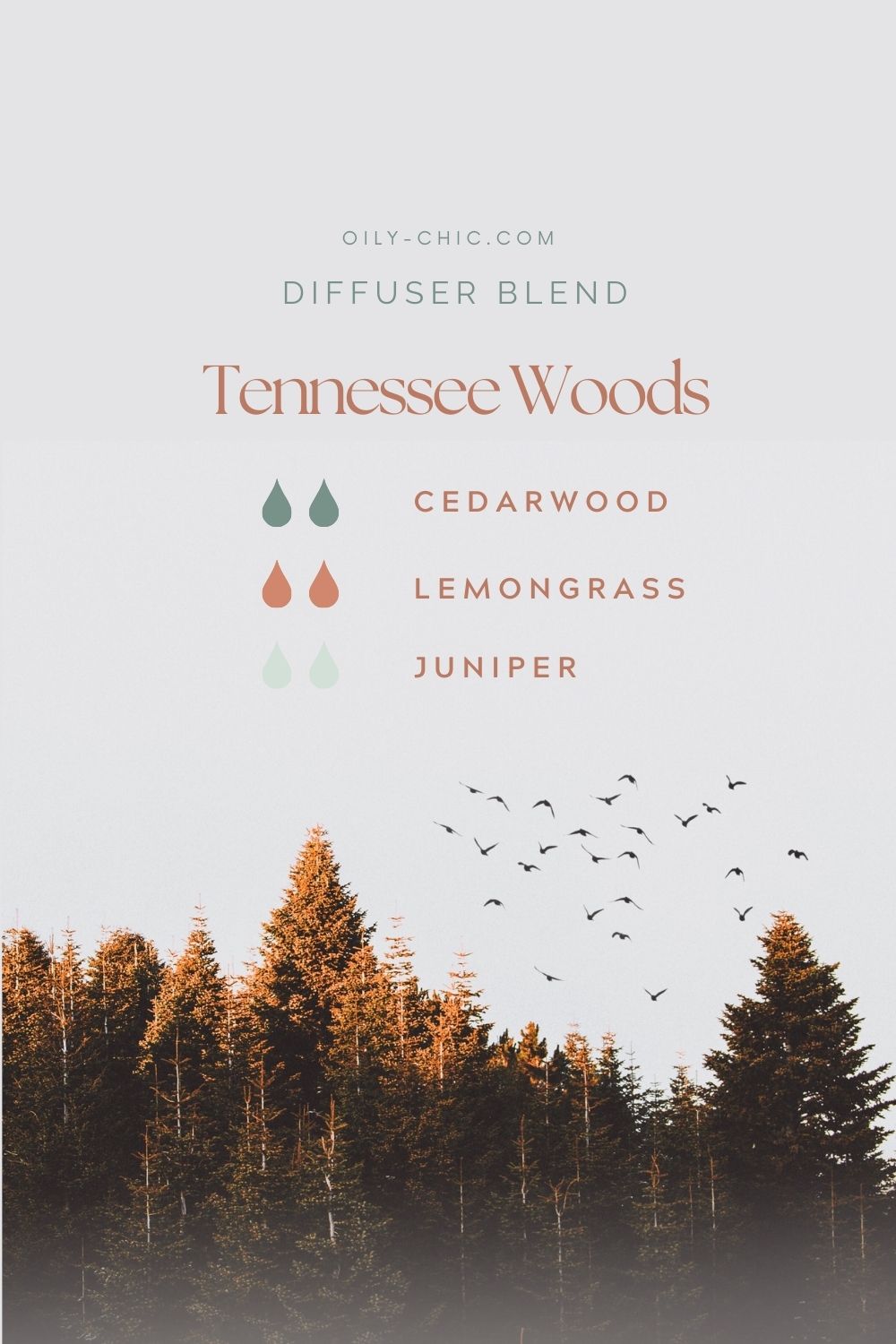 Sweet, Woodsy Juniper Essential Oil Blends